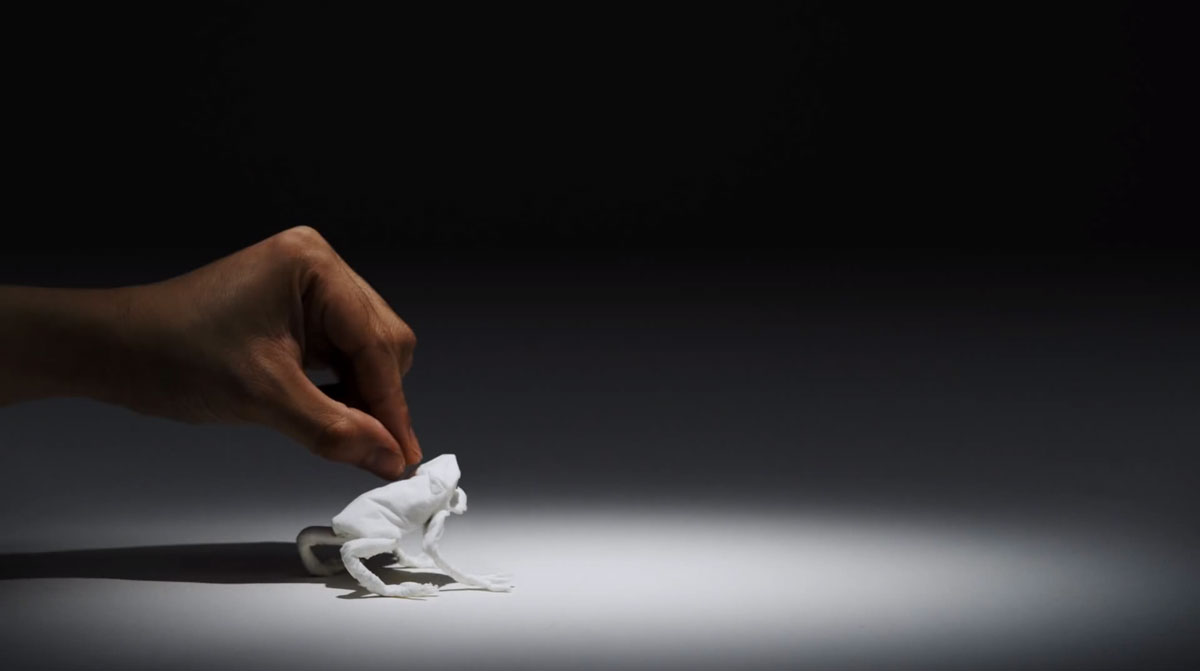 un-artiste-japonais-transforme-des-mouchoirs-en-papiers-en-de-magnifiques-animaux-dans-une-video-stop-motion-pleine-de-legerete9