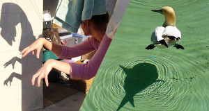 une-ombres-photos-droles