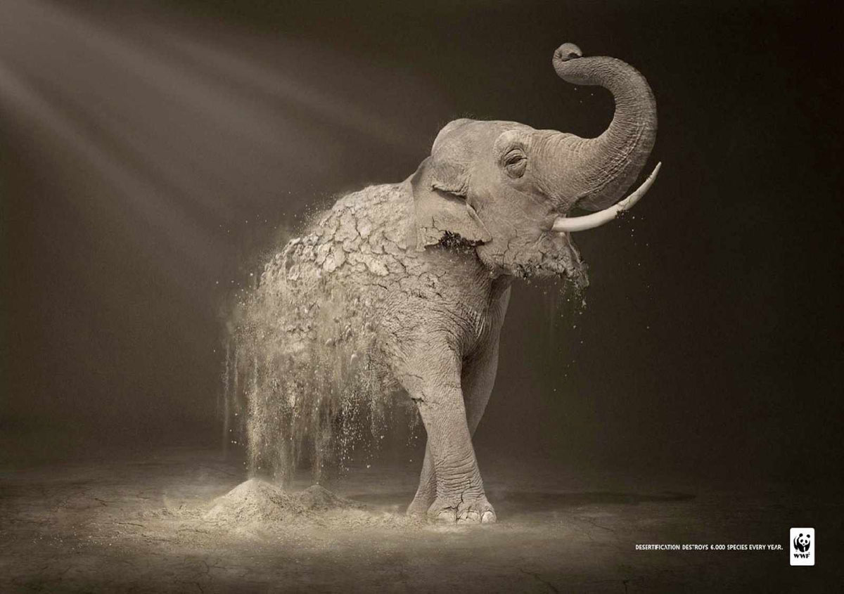 wwf-elephant