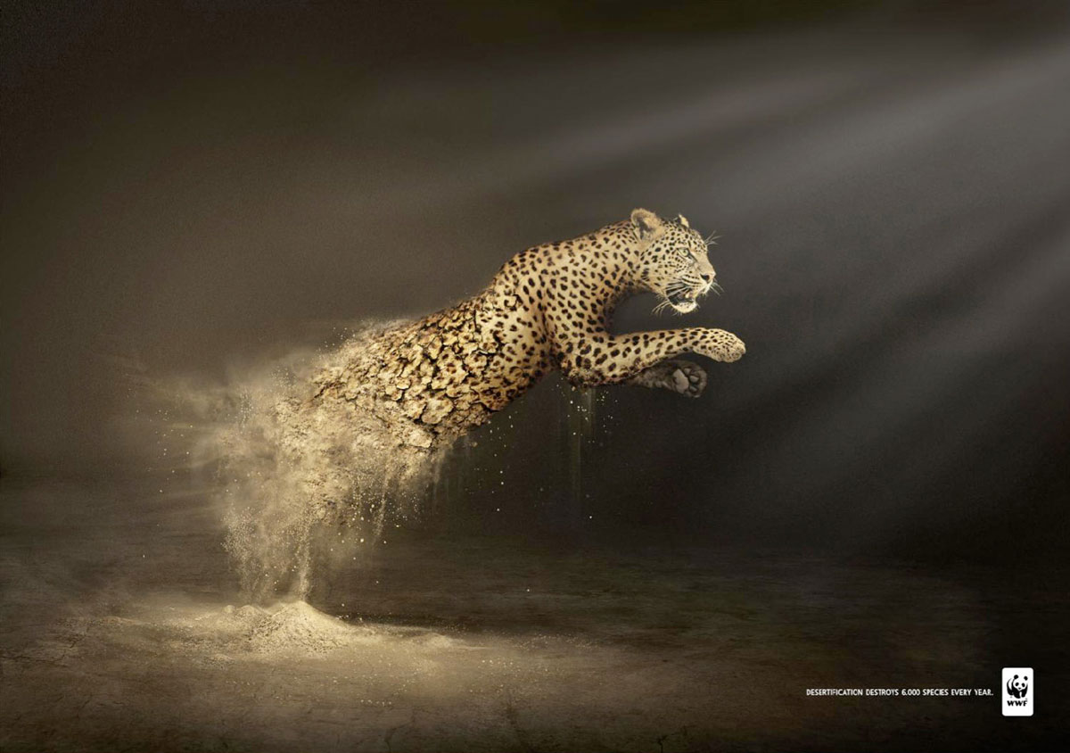 wwf-leopard