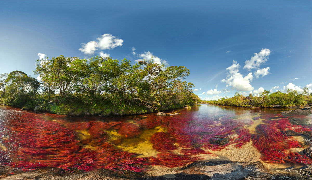 cano-cristales-colombie