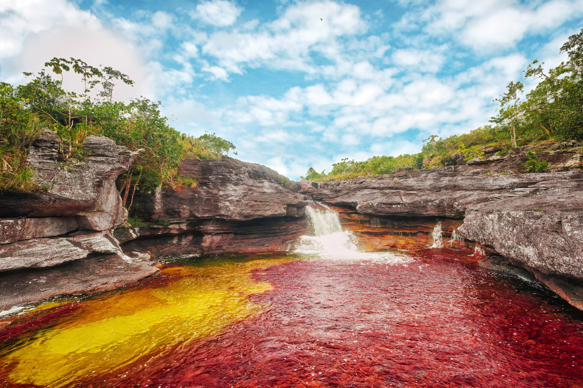cano-cristales-mata