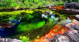 cano-cristales-riviere-en-couleurs