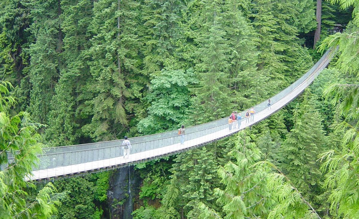 capilano-suspension