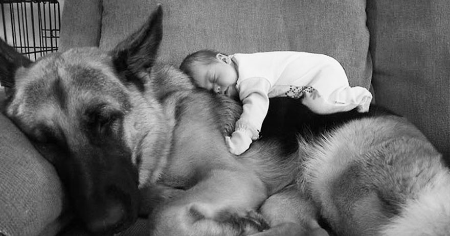chien-enfant-tendresse-calin-amour-mignon-photographie