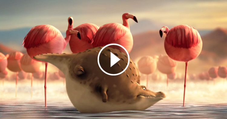crocodile-flamands-roses-ronds-750x394