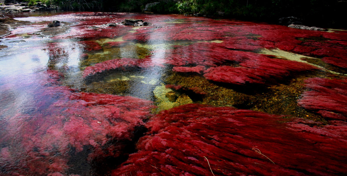 eau-coloree-cano-cristales