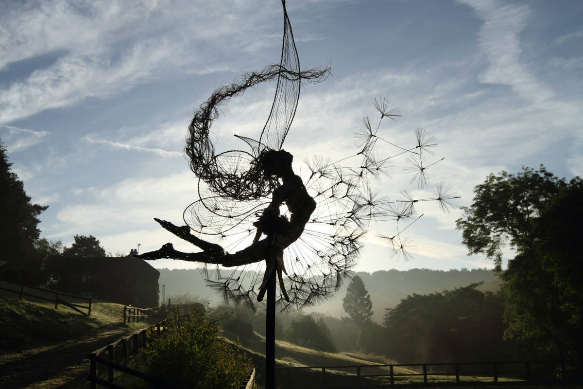 fee-metallique-pissenlits-rayons-soleil