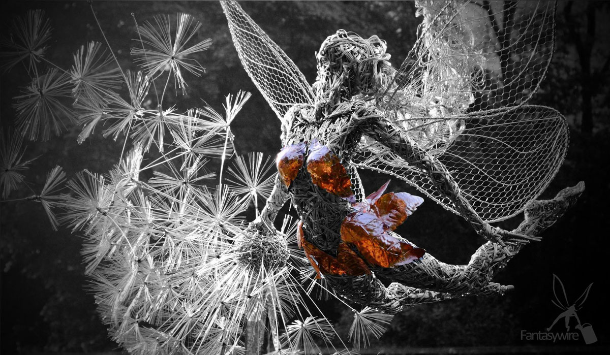 fee-volante-noir-blanc