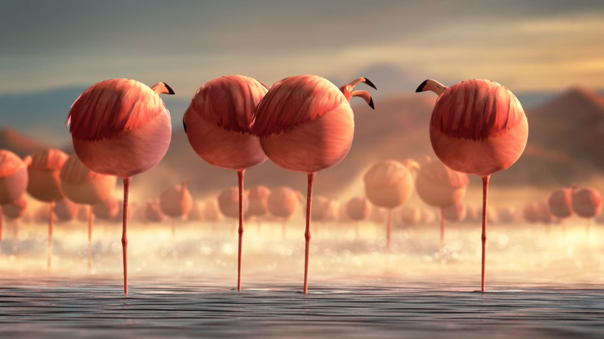 flamands-roses-etang