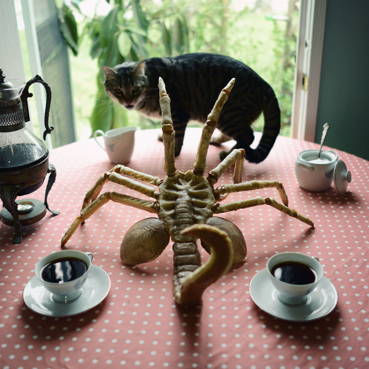gateau-alien-chat-table