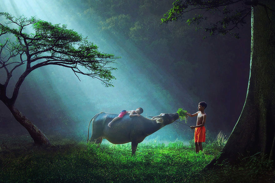 indonesie-foret-enfant