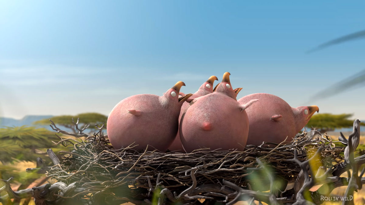 oisillons-attendent-repas