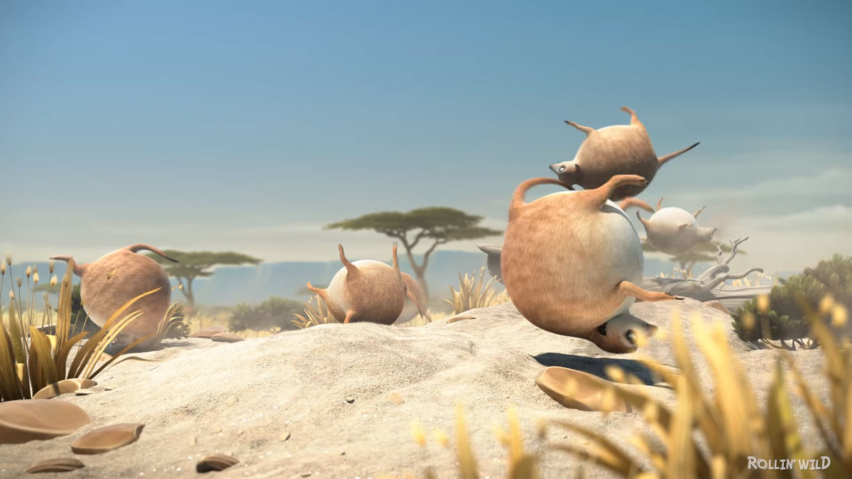 panique-generale-suricate