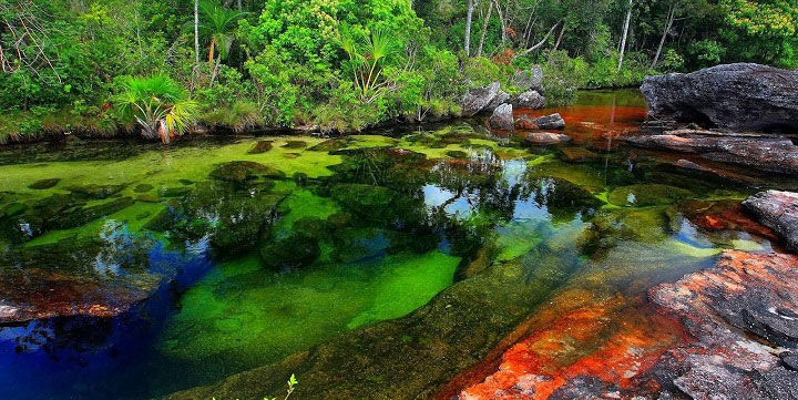 rio-cano-cristales