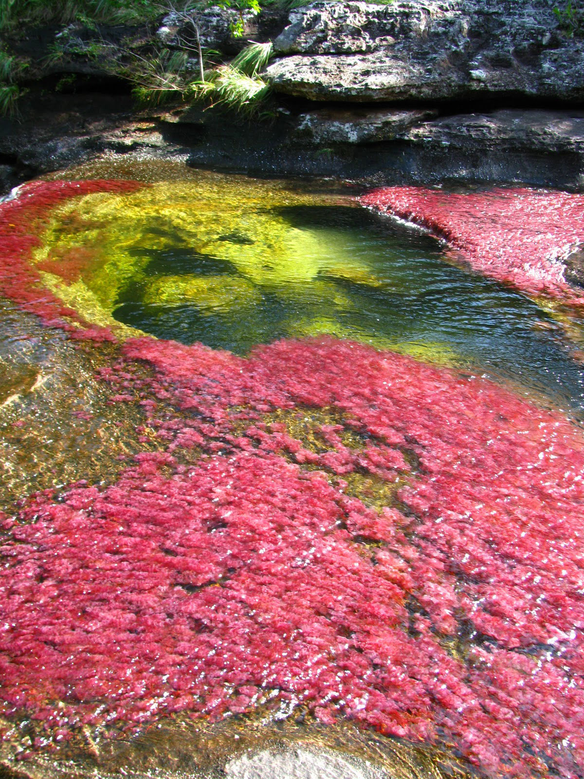riviere-cristaux-colombie