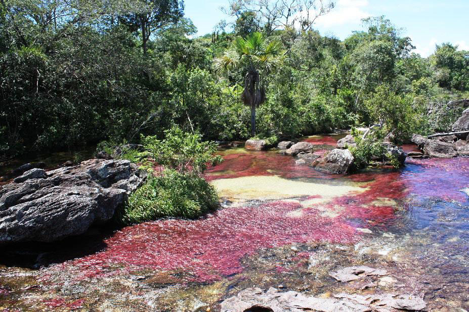 splendide-riviere-couleurs