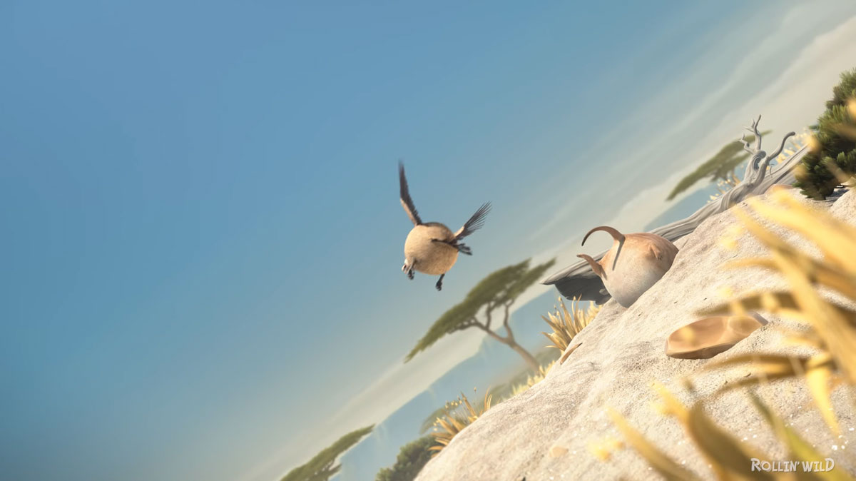 vautour-suricate-coince-dans-sol