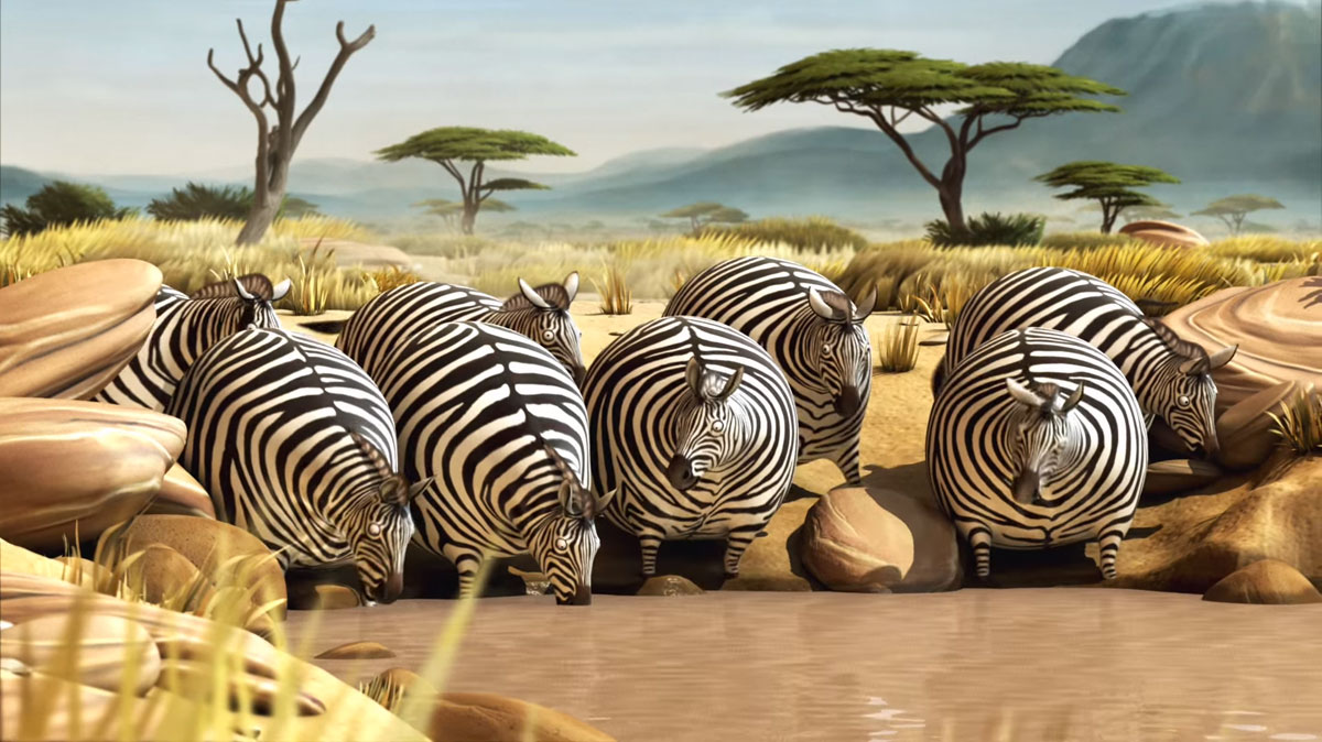 zebres-boivent-marre