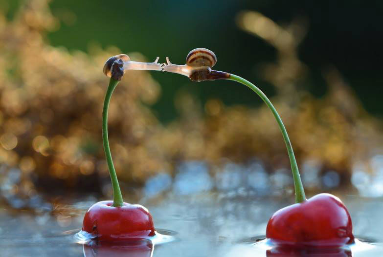 escargots-baiser-cerises