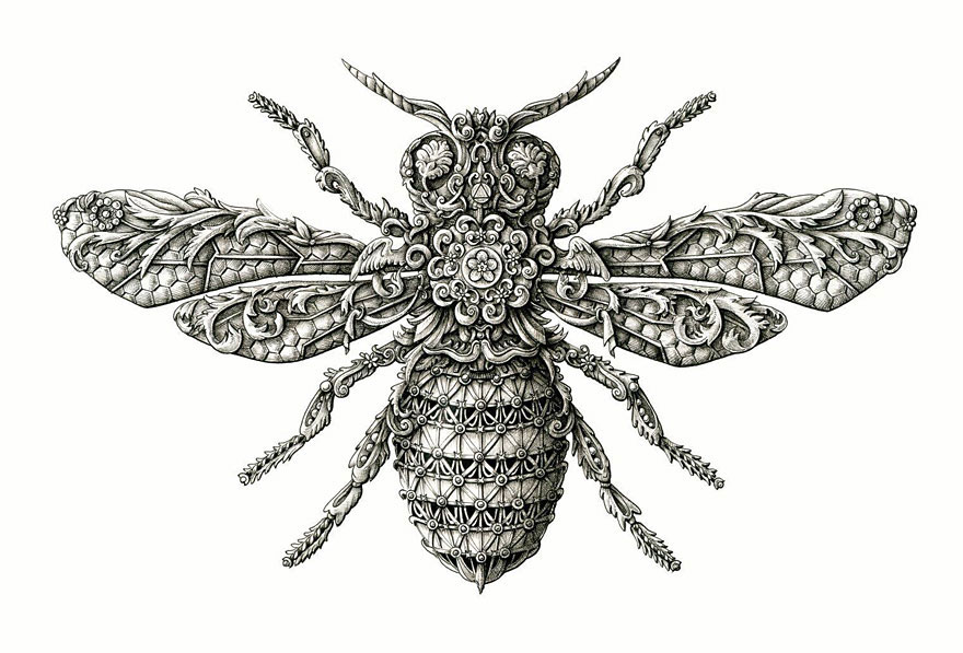 12-abeille-dessins-symboles-royaux