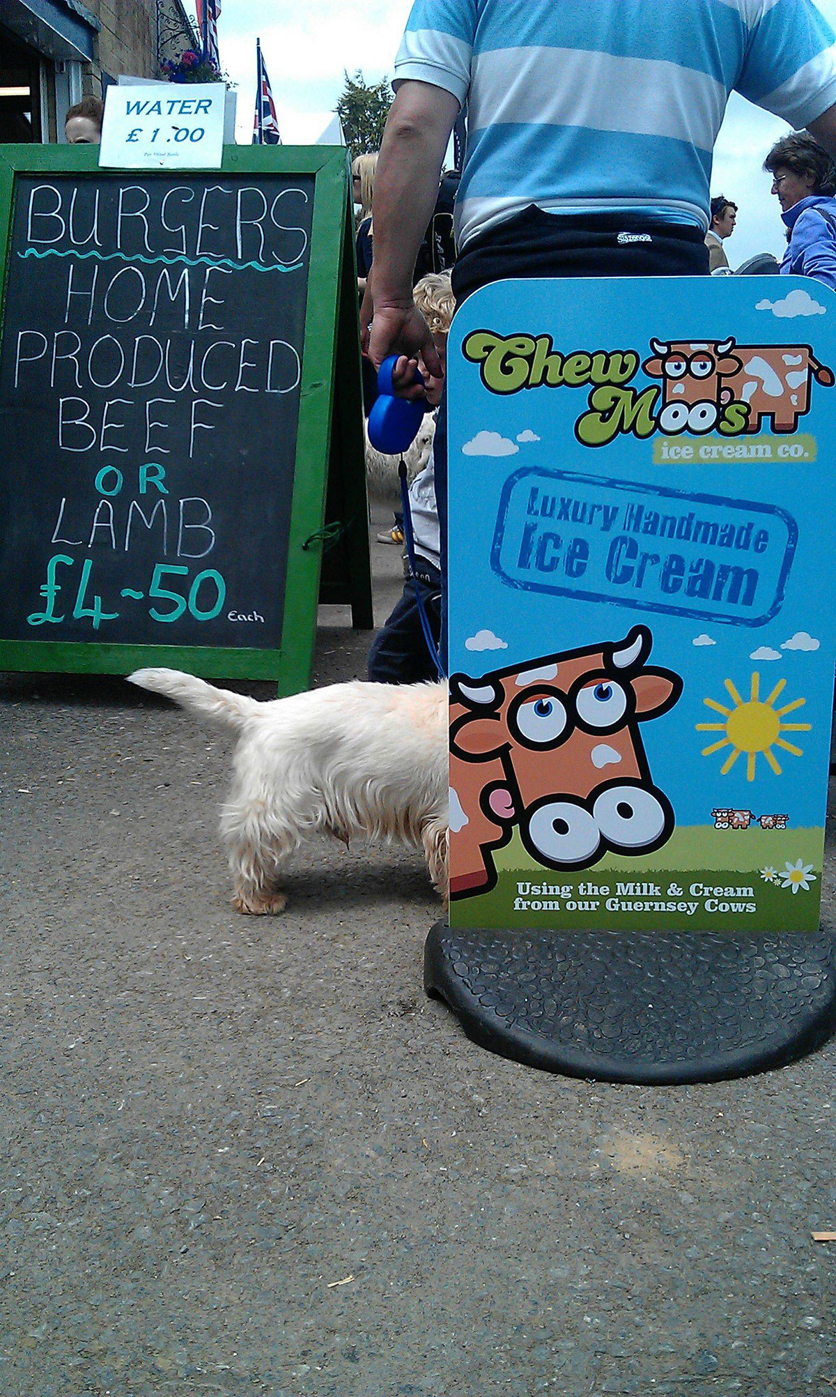 chien-avec-tete-de-vache