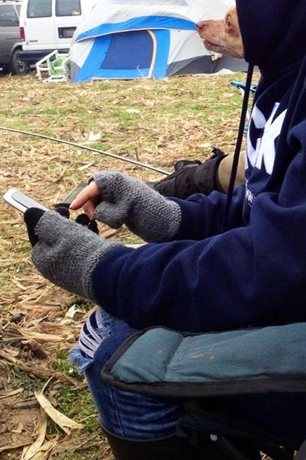 chien-capuche-telephone