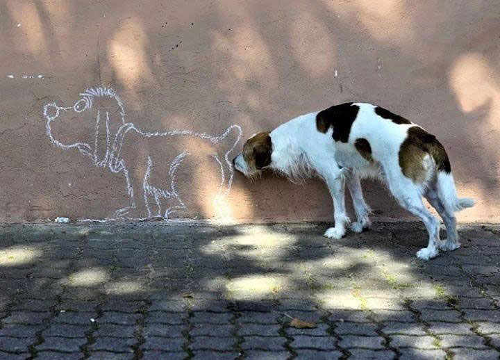 chien-sent-peinture-murale