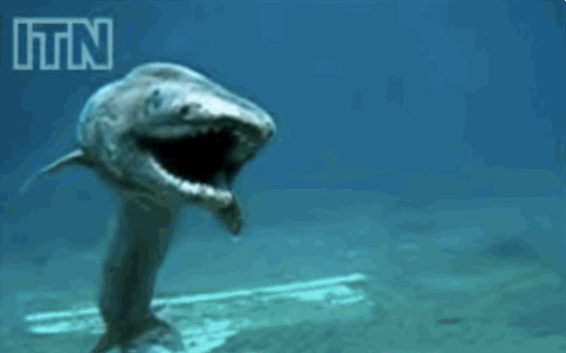 requin-lezard-gif