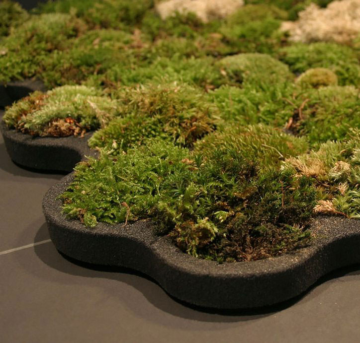 tapis-douche-vegetal