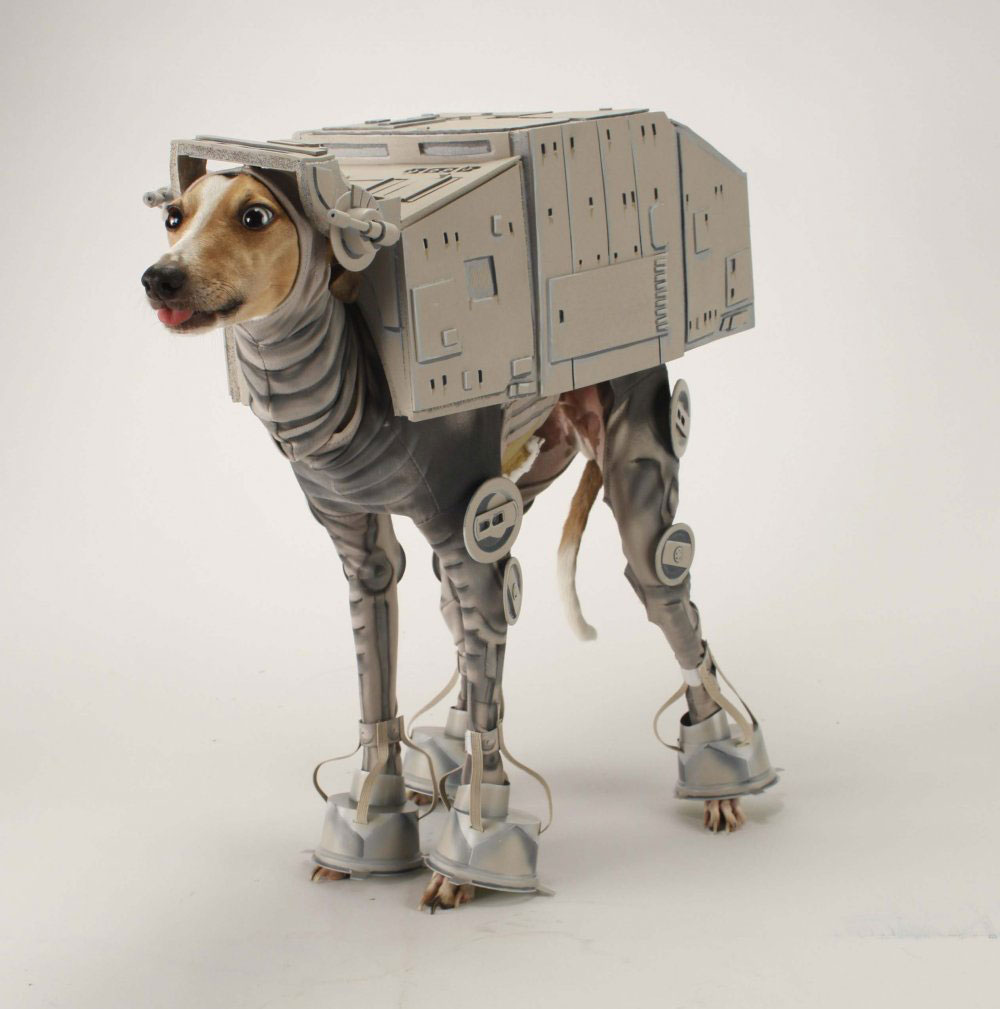 at-at-chien