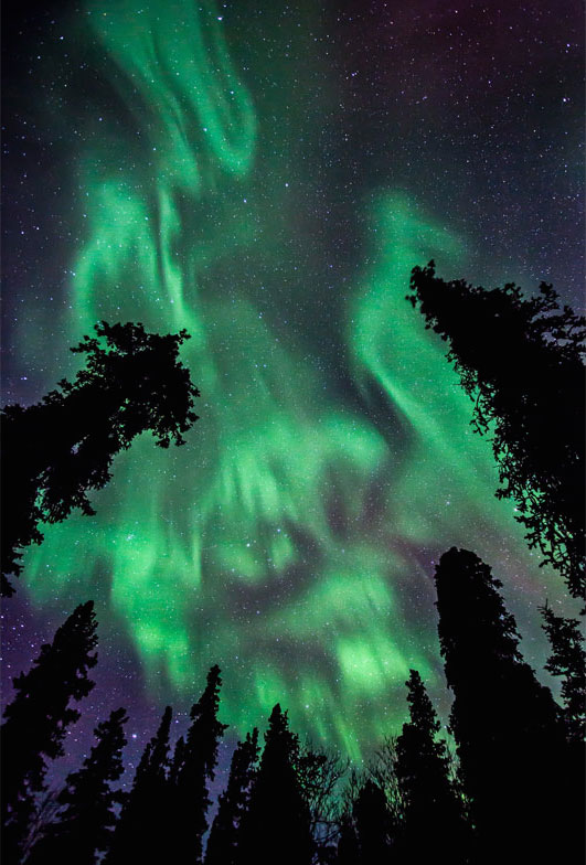 aurore-boreale-nuit-foret