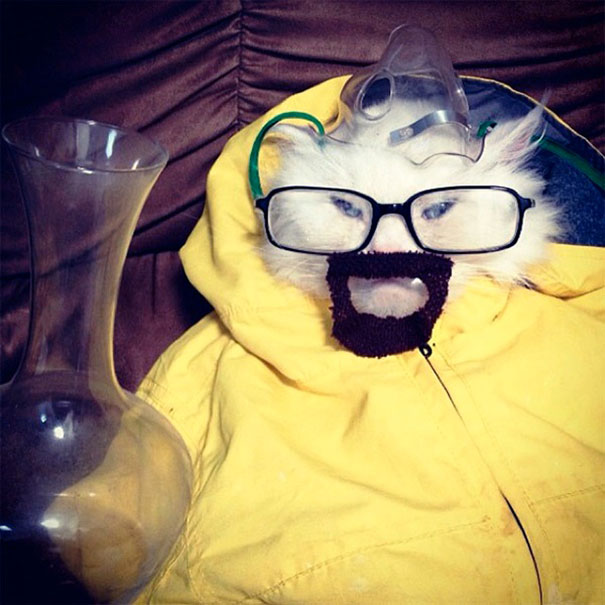 chat-breaking-bad