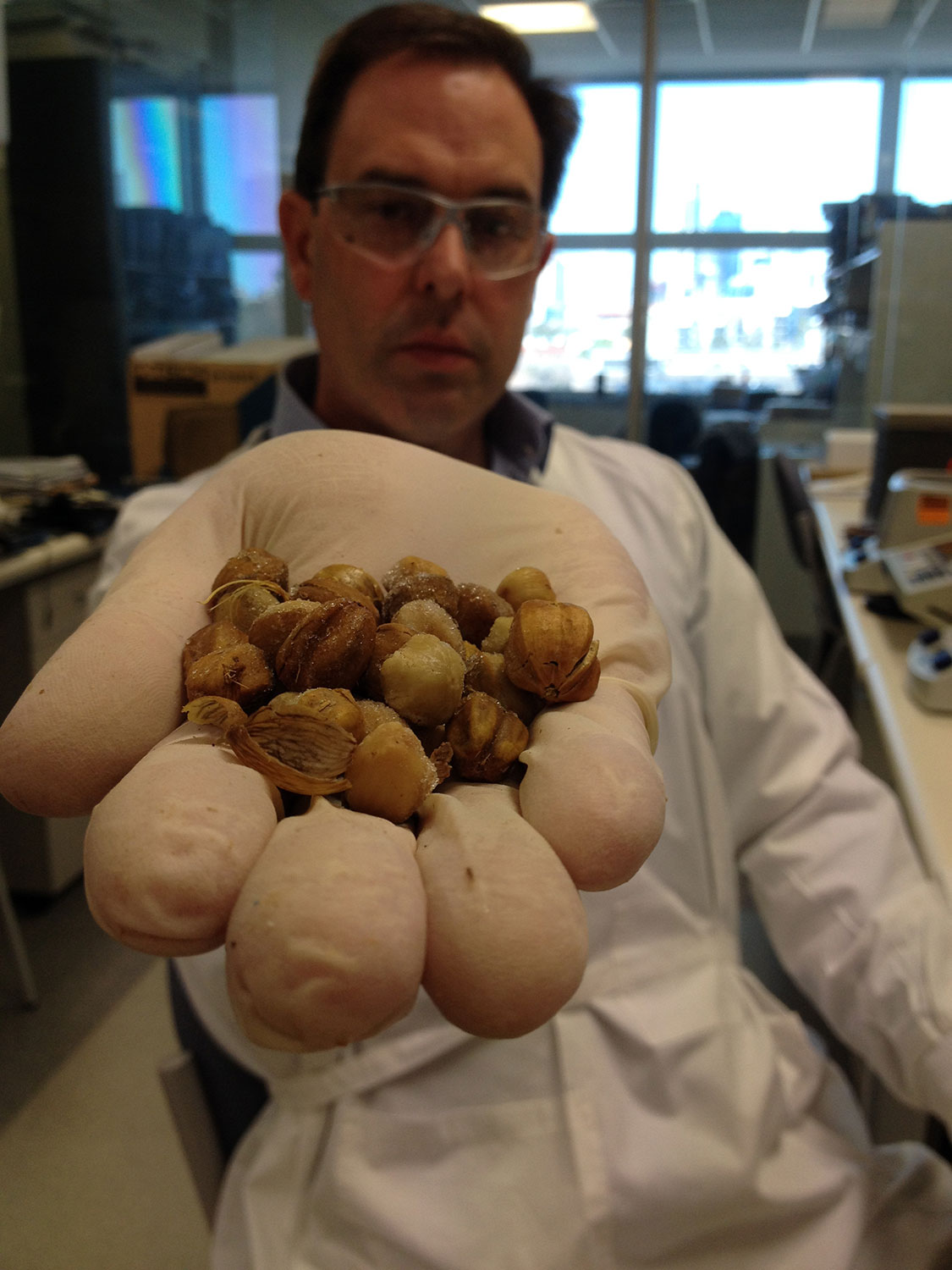 chercheur-tenant-graines-contre-cancer