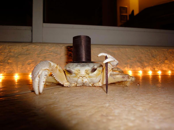 crabe-classe