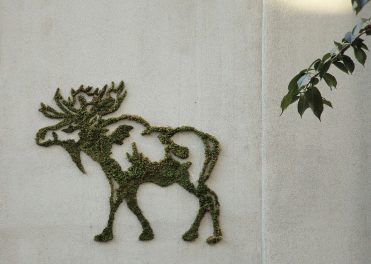 elan-street-art-mousse