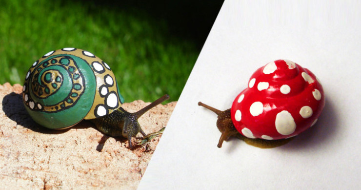 escargot-peinture-750x394