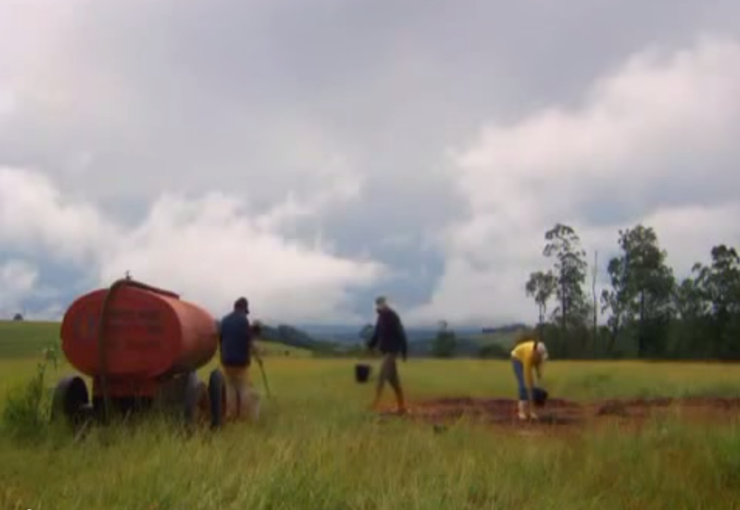 excavation-fourmiliere-capture-03