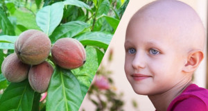 graines-soigner-cancer-une