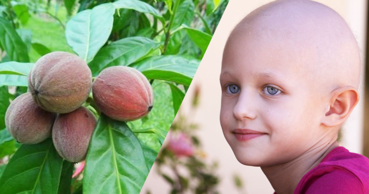 graines-soigner-cancer-une