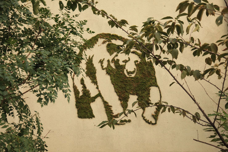 grizzli-street-art-herbe