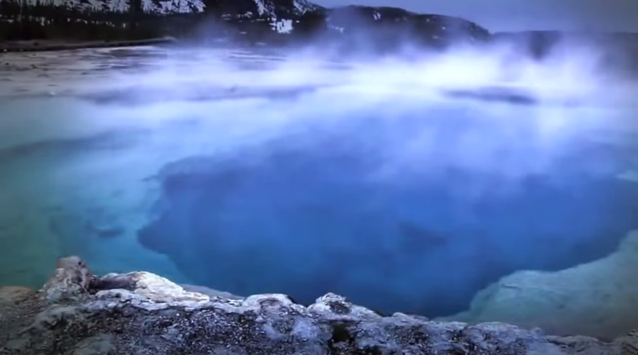 loups-action-rivieres-capture-16