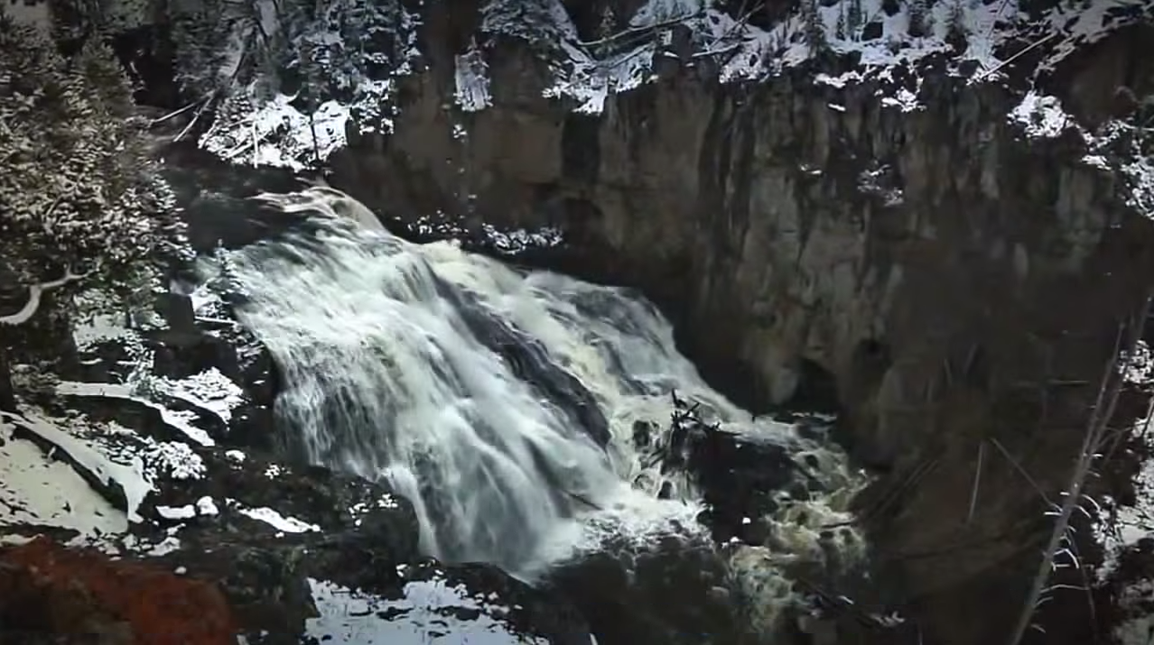 loups-action-rivieres-capture-17