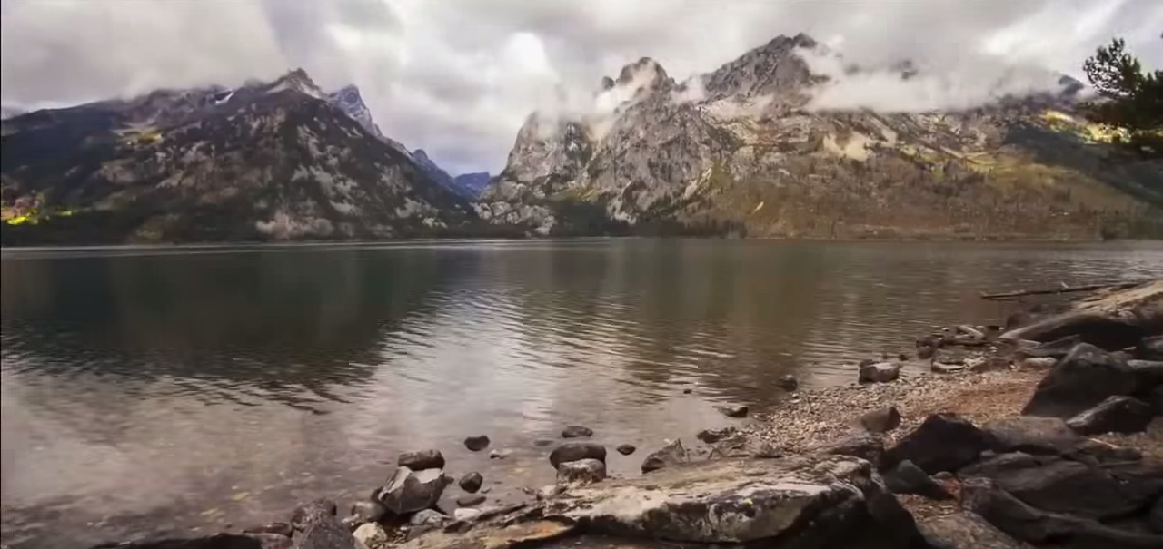 loups-action-rivieres-capture-18