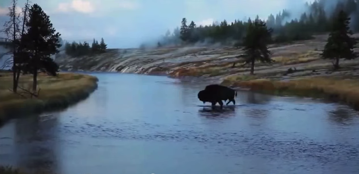 loups-action-rivieres-capture-21