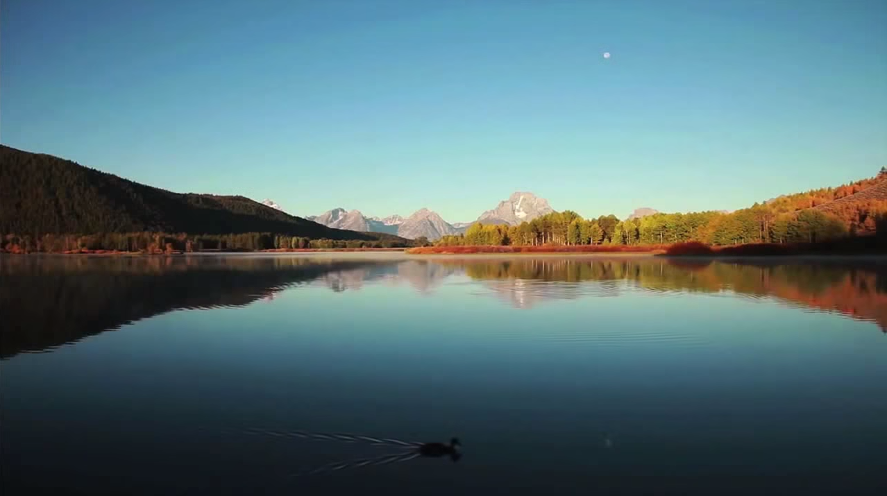 loups-action-rivieres-capture-22