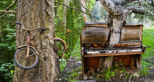 nature-civilisation-une-v6