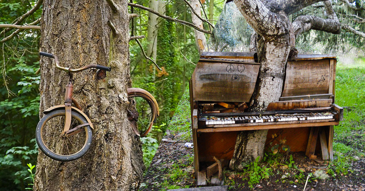 nature-civilisation-une-v6