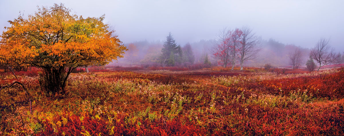 plaine-coloree-par-automne