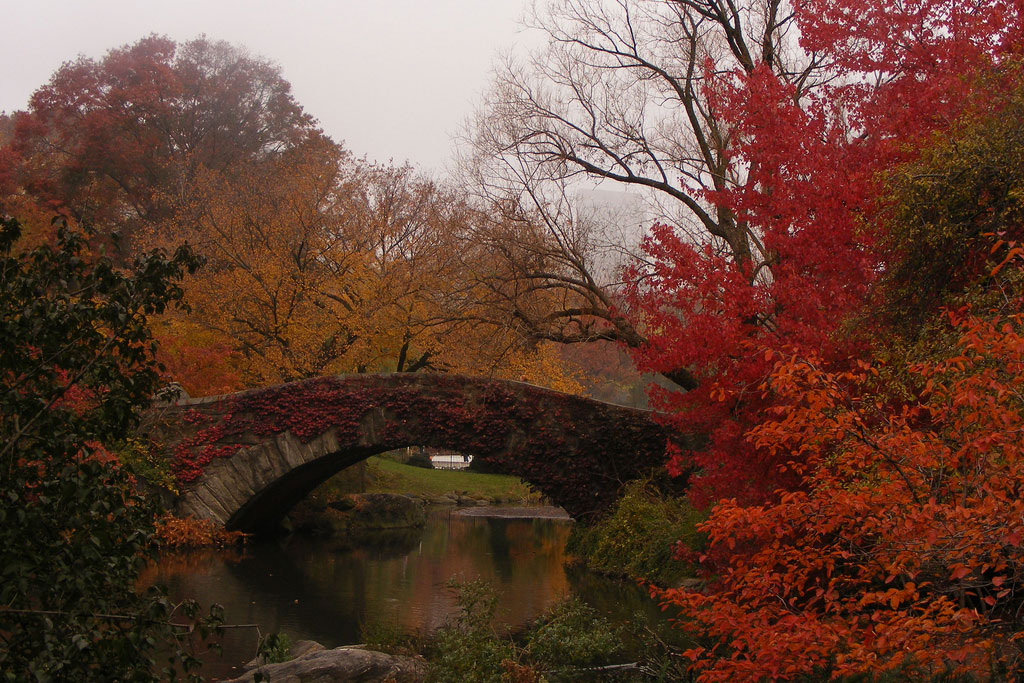 pont-riviere-arbres-rouges